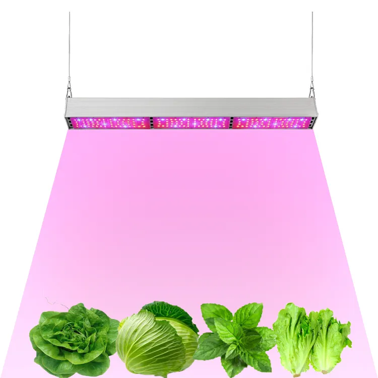 New product wholesale 150W led grow line light IR full spectrum vertical agricultural growth supermarket fruit stall fill light