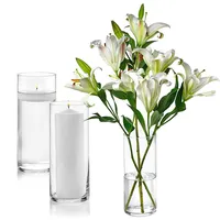 Groothandel Aangepaste Glazen Cilinder Vazen 10 Inch Tall Multi-Gebruik Pijler Kaars, Drijvende Kaarsen Houders Of Bloemenvaas