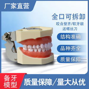 28- Tooth Preparation Practice Models Full Mouth Detachable Teeth Dental Models for <b>Oral</b> <b>Therapy</b> <b>Equipment</b> & <b>Accessories</b> - Product Image 2