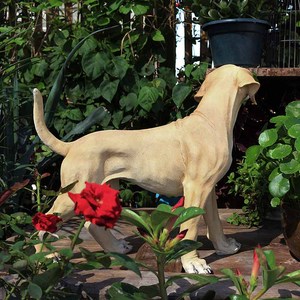 Estatua de Perro <span class=keywords><strong>Labrador</strong></span> Dorado Realista para Exteriores, Escultura Simulada para Amantes de las Mascotas, Colección de Artesanías de Resina, Figura de Perro de Regalo - Product Image 3