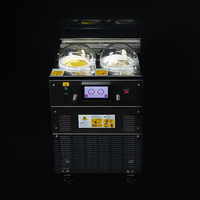 Machine à glace dure économique Miles 2 saveurs – Machine à glaces artisanales instantanée intelligente