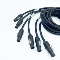 Cable de Alimentación Industrial de Alta Resistencia con Conector Socapex Macho de 9 Pines y 6 Salidas Ture1 Hembra, Cable de Extensión de Grado Industrial IP44 20A con Certificación CE para Escenarios