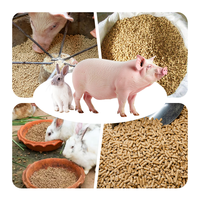 Machinerie agricole : la dernière machine entièrement automatique de fabrication de granulés d'aliments pour porcs, chevaux, bovins et ovins