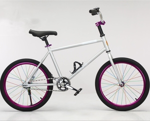Vente en gros de 20 <span class=keywords><strong>pouces</strong></span> Coaster Brake Fashion Model Bicycle Vélo pour hommes et femmes avec frein à pied pour le marché russe - Product Image 3