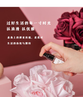 FLORESCENCE Ensemble diffuseur à rose artificielle immortelle DIY en verre sans BPA, écologique, aromathérapie longue durée