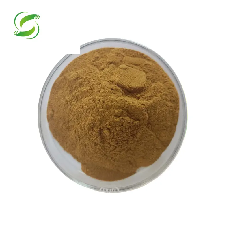 Factory supply Black cohosh extract Triterpenoid saponins