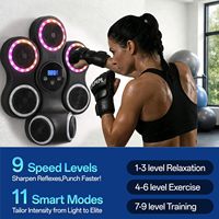RS 7 Machine d'entraînement de boxe murale avec cibles de frappe pour entraînement musical, agilité et réaction