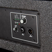 Profesyonel 10 inç Line Array Hoparlör Sistemi Üreticisi 1000W Subwoofer ve Canlı Etkinlikler için DSP Kontrolü