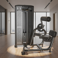 Appareil de musculation DFT-B631 pour l'extension dorsale – Équipement de sport et d'entraînement de force