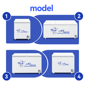Congélateur horizontal haute performance - Réfrigérateur commercial <span class=keywords><strong>grande</strong></span> capacité avec portes solides verrouillables pour usage en supermarché - Product Image 4
