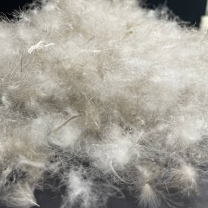 Gilet d'hiver pour <span class=keywords><strong>femme</strong></span> en duvet d'oie ultraléger, gris délavé, 65% duvet de canard, 500 grammes de puissance de gonflage, certifié OEKO-TEX - Product Image 5