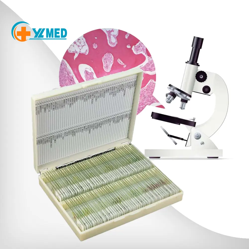 medical science students orange plastic microscope slide storage boxes prepared medical histology slides