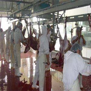 Ligne d'abattage automatique suspendue de moutons de chèvre de Ram d'agneau de haute qualité avec le convoyeur de saignement de moutons - Product Image 3