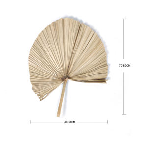 Gran venta al por mayor de la hoja de <span class=keywords><strong>palma</strong></span> secos pequeñas secas hojas de <span class=keywords><strong>palma</strong></span> decorativa de interior y al aire libre seco de hoja de <span class=keywords><strong>palma</strong></span> - Product Image 1
