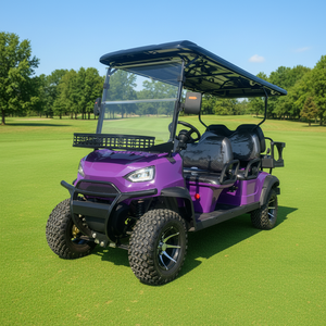 Voiturette de golf 4x4 avec suspension améliorée pour la ferme - Product Image 1