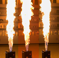 Machine à flamme à tête unique, SP Disco Stage DJ DMX512, contrôle de la flamme, télécommande, lance-flammes en fer pour mariage