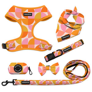 ชุดปลอกคอและสายจูงสุนัขแบบหรูหราชุดเสื้อกั๊กแบบมีแผ่นรองนุ่มสำหรับสุนัขกลางแจ้งแบบปรับได้ OEM - Product Image 1