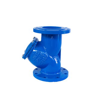 Filtre en Y à bride en fonte ductile et maille en acier inoxydable pour conduites d'eau potable et d'eaux usées - Product Image 1