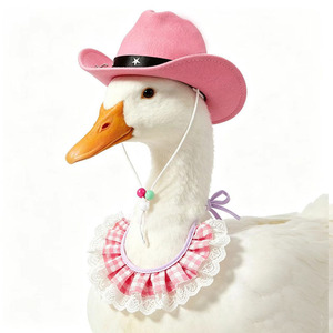 Yisi - Combo de Gorro y Babero de Vaquero Occidental para Mascotas, Pañuelo Universal para Perros y Gatos, para Todas las Estaciones, Diseño Sólido - Product Image 3