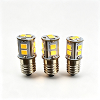 Ampoule LED E10 à culot à vis 6V10 SMD blanc chaud, lumière de remplacement pour étoile pliante de Noël et lampe étoile de l'Avent