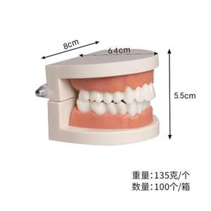 Livre d'apprentissage précoce, modèle de dent en résine pour la pratique dentaire, guide de brossage des dents pour la maternelle, outil d'enseignement de la santé dentaire - Product Image 4