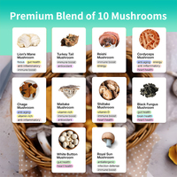 Gummies d'extrait de champignon Crinière de lion 10-en-1 en gros, marque privée OEM, adaptogène et nootropique pour le cerveau