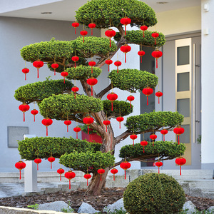Adornos Colgantes de Farolillos Rojos Pequeños con Diseño de Flores, Decoraciones para la Celebración del Festival de Primavera, Estilo Étnico Chino, DIY - Product Image 4