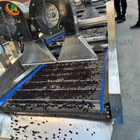 Industriële automatische gemotoriseerde fruit- en groentewasmachine voor het reinigen en steriliseren van palmen- en medjooldadels