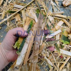 New Type <b>Tree</b> Branch Shredding Equipment Bamboo Shredder Biomass Waste Crushing <b>Machine</b> - Product Image 6