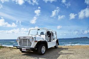 Mini voiture de plage Moke, voiturette de Golf Go avec alimentation en essence