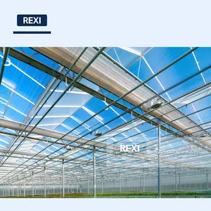 3.2mm 4mm Tempered Toughened Greenhouse Clear Glass with Factory Wholesale Price