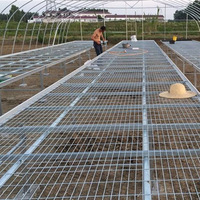 Bacs de semis à panneaux grillagés pour irrigation, galvanisés à chaud, pour pépinières, jardins de fleurs, culture de plantes personnalisable