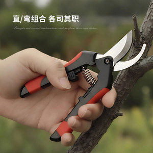 กรรไกรตัดแต่งกิ่งสแตนเลส เครื่องมือเก็บผลไม้ในสวน ใช้สำหรับมือขวา - Product Image 1