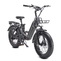 Vélo électrique tout-terrain à pneus larges de 20 pouces, moteur Bafang 750W, batterie au lithium double 48V, cadre en alliage d'aluminium, freins hydrauliques, stock UE/USA