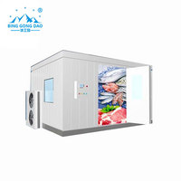 Congélateur de stockage pour produits marins destiné aux marchés de transformation de fruits de mer et à l'exportation
