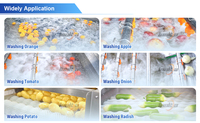 Aanpasbare capaciteit appelborstelreinigingsmachine avocado fruit- en groentewasser fruitwasmachine verwerkingslijn