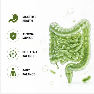 Cápsulas Personalizadas para el Cuidado Intestinal con Sinbióticos, Probióticos Lactobacillus Acidophilus y Complejo de Bifidobacterias, Prebióticos para el Bienestar Digestivo - Product Image 2