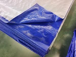 <span class=keywords><strong>Prix</strong></span> usine toutes les tailles bâche robuste étanche à la pluie couverture bâche sol <span class=keywords><strong>Camping</strong></span> feuille - Product Image 2