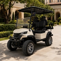 Voiturette de golf électrique Aspen Forest 2, 4 ou 6 places, moteur AC 48V 5KW, batterie au lithium, pour l'entretien des vergers de haute qualité, avec porte-sac à feuilles