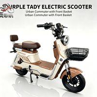 Sepeda Motor Listrik Berkualitas Tinggi Grosir 60V Motor Brushless untuk Perjalanan Sehari-hari Dewasa Transportasi Kota