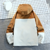 Veste pour homme, imperméable, respirante, réversible, respectueuse de l'environnement, pour activités de plein air, randonnée, escalade