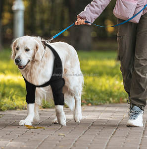 OEM Dog Elbow Brace Protector Pad Shoulder Dog <b>Leg</b> <b>Support</b> Joint Sleeve Recovery Pet Knee Brace Front <b>Leg</b> Breathable Adjustable - Product Image 3