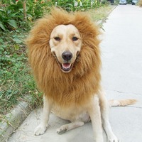 Jungle King Perruque en fourrure artificielle pour chien, modèle tête de lion amusante – Accessoire capillaire pour animaux de compagnie toutes saisons et fêtes