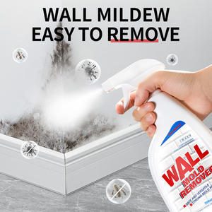 Dissolvant de moules muraux étiquette personnalisée logo usine de fabrication de produits de nettoyage OEM ODM - Product Image 2