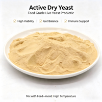 Poudre de levure active à haute activité, additif probiotique naturel pour le soin intestinal du bétail, des animaux aquatiques et des animaux de compagnie