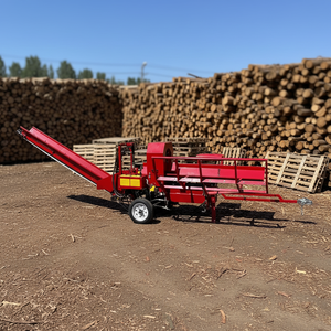 <span class=keywords><strong>Fendeuse</strong></span> de bûches 30 <span class=keywords><strong>tonnes</strong></span> neuve pour usage domestique avec élévateur de bûches intégré, composants de moteur, garantie 1 an - Product Image 1