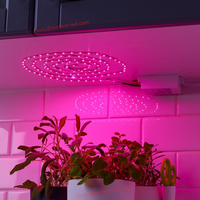 Flexibler SMD5050 Zickzack-LED-Streifen RGB für Gebogene Oberflächen Architekturbeleuchtung