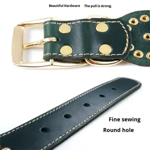 JXANRY-Chaîne de chien en or rose personnalisable, collier anti-loup en cuir avec pierre de cristal - Product Image 1