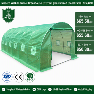 <span class=keywords><strong>Serre</strong></span> tunnel 6x3x2m portable avec structure en acier galvanisé, bâche en PE résistante aux UV, vente en gros, coupe-vent, pour extérieur - Product Image 1