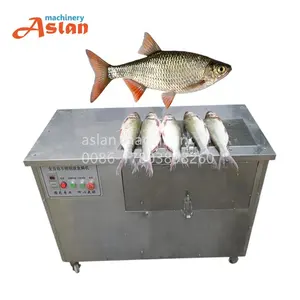 Electric tilapia fish scale removing machine small fish killing descaling machine